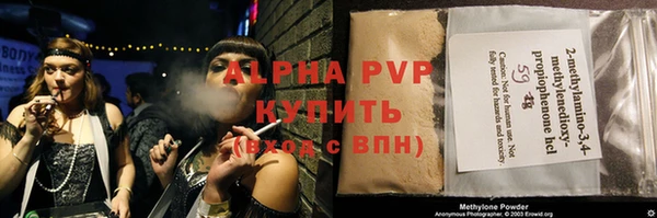 прущие грибы Заводоуковск