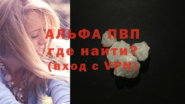 прущие грибы Заводоуковск