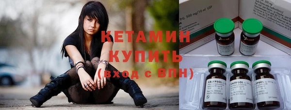прущие грибы Заводоуковск