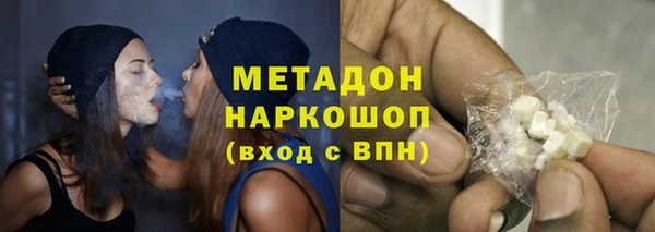 прущие грибы Заводоуковск