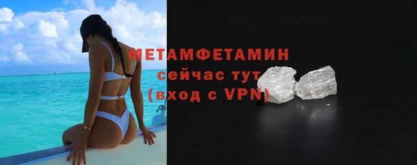 прущие грибы Заводоуковск
