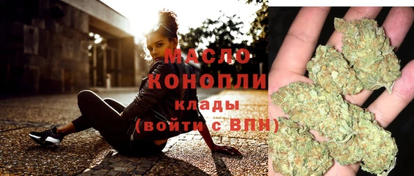 прущие грибы Заводоуковск