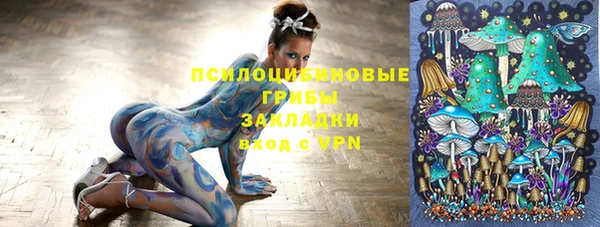 амф Заволжье