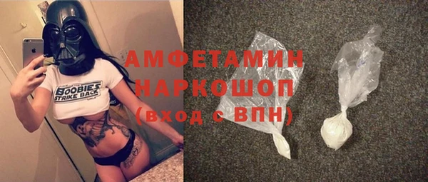 прущие грибы Заводоуковск
