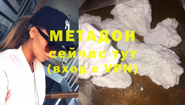 прущие грибы Заводоуковск