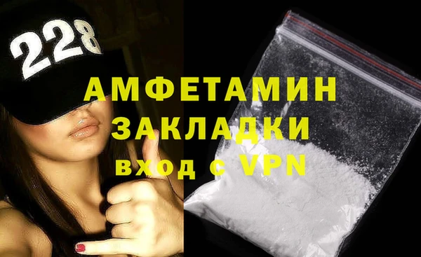 прущие грибы Заводоуковск