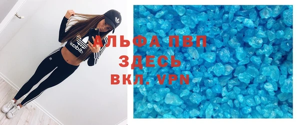 прущие грибы Заводоуковск