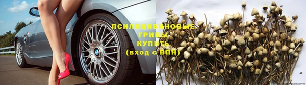 герыч Заволжск